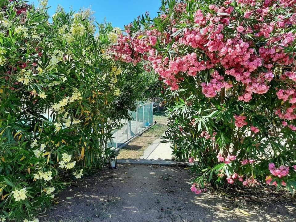 Orasi Sartene Gite Casa Fiurita ภายนอก รูปภาพ