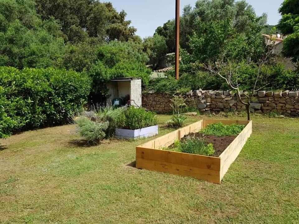 Orasi Sartene Gite Casa Fiurita ภายนอก รูปภาพ