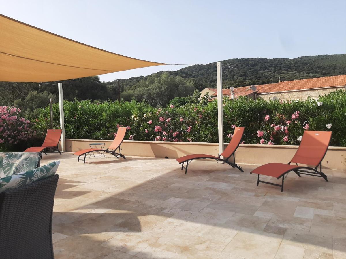 Orasi Sartene Gite Casa Fiurita ภายนอก รูปภาพ